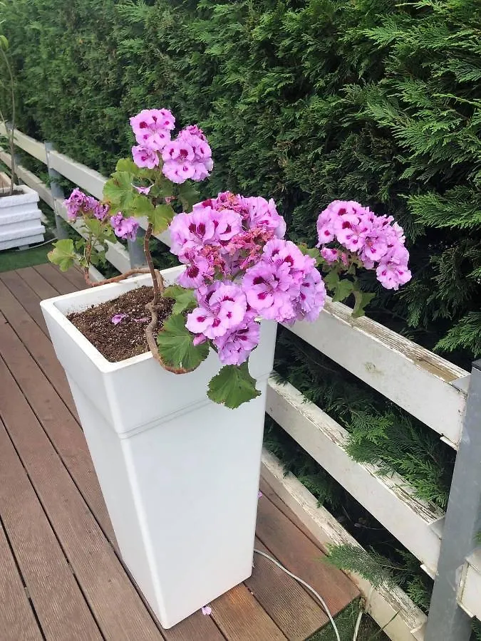 Rezidenca Primavera Apartments Дуррес Албания