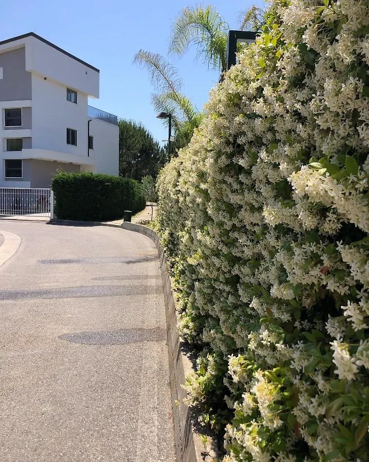 Rezidenca Primavera Apartments Дуррес